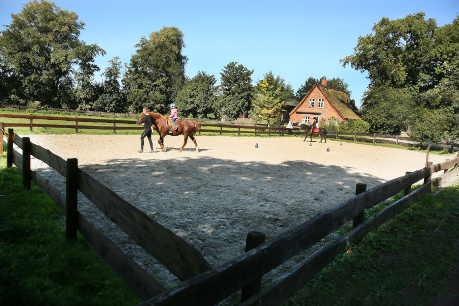 Pony Reiten